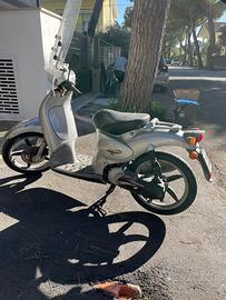 Scarabeo 50 anno grigio