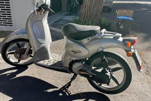 Scarabeo 50 anno grigio