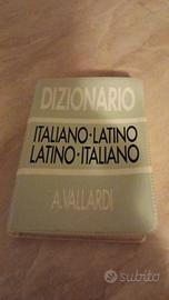 dizionario tascabile 