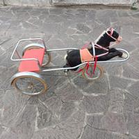 Calesse con pedali vintage 