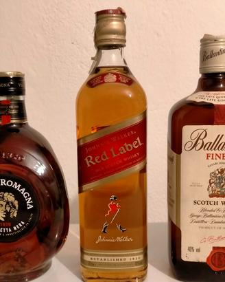 bottiglie whisky e stravecchio 