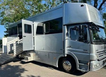 Van Trasporto cavalli