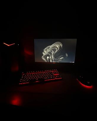 PC Gaming + Monitor + Periferiche