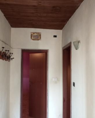 Casa spaziosa con orto e giardino