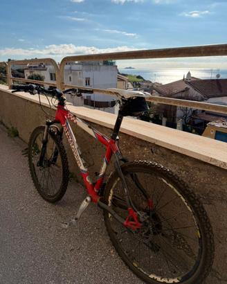 MTB - Olympia Race Edition 26'