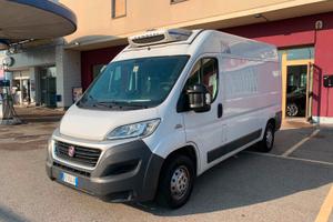 Fiat Ducato Isotermico con Frigorifero