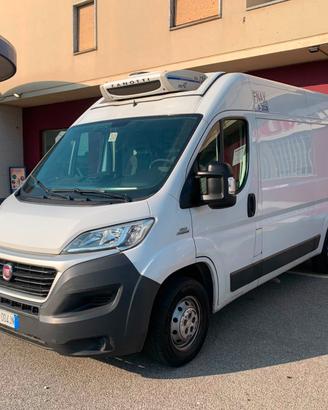 Fiat Ducato Isotermico con Frigorifero