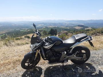 Honda Hornet