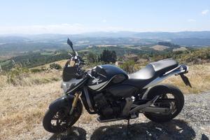 Honda Hornet