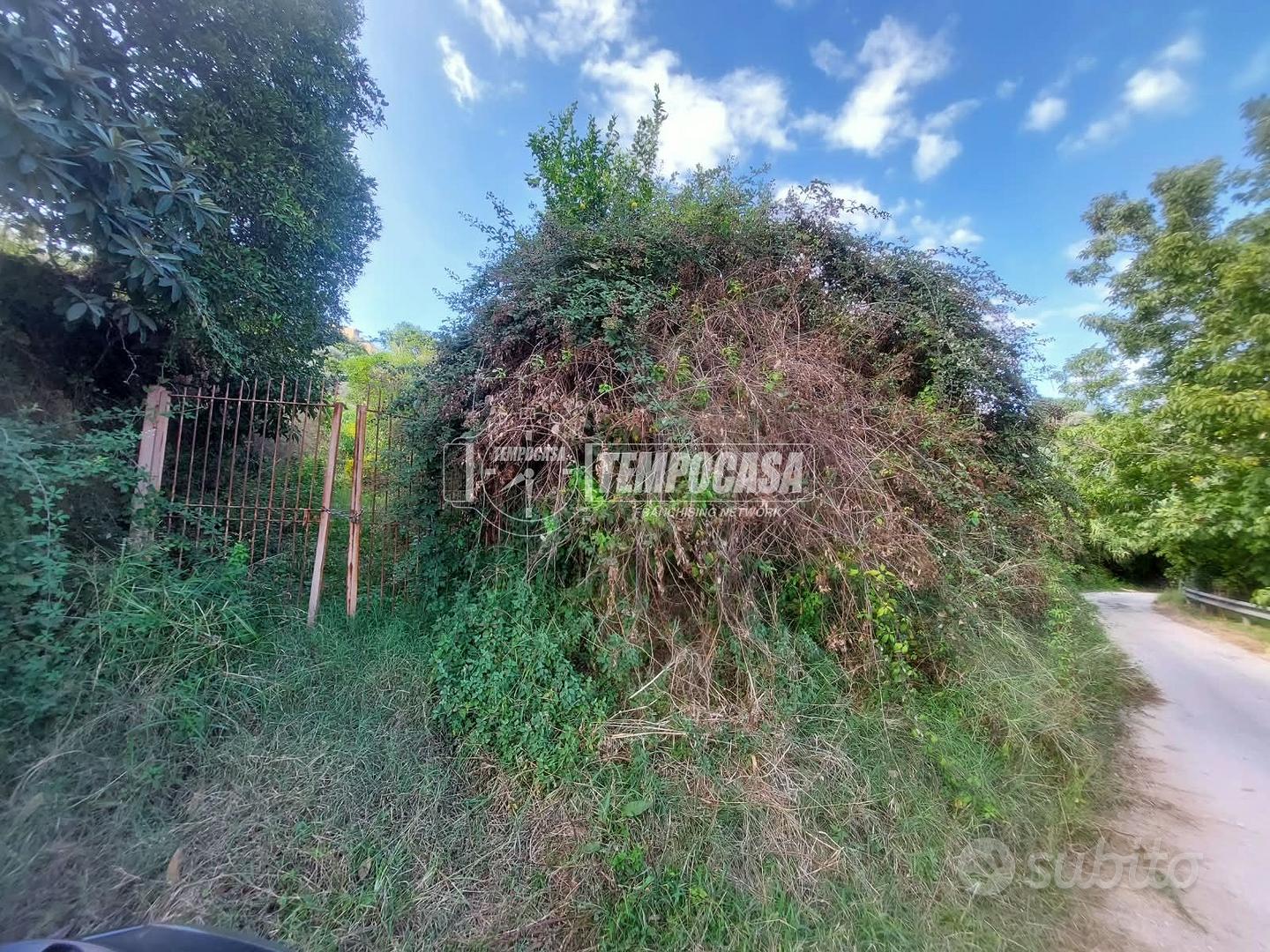 TERRENO AGRICOLO DI UN ETTARO A PACE DEL MELA. - Vista 3