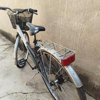 Bici Shadow