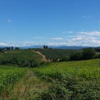 Agriturismo nel Chianti