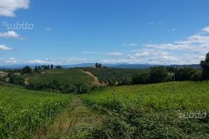 Agriturismo nel Chianti