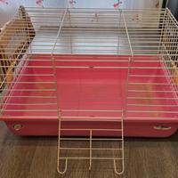 Gabbia imac per roditori