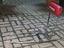 Immagine 6