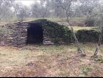 Terreno ad Oliveta vista panoramica