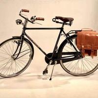 Bicicletta EUSEBI Full Optional