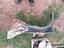 Immagine 26