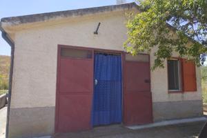 Terreno uliveto seminativo con casa