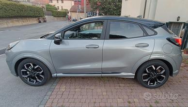 Ford Puma 

1.0 ecoboost h ST-Line X s&s 125cv

