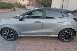 Ford Puma 

1.0 ecoboost h ST-Line X s&s 125cv


