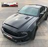 mustang-mustang-mustang-shelby-gt-500-all-ubb-1000