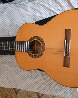 Chitarra Flamenca 