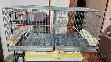 gabbia 