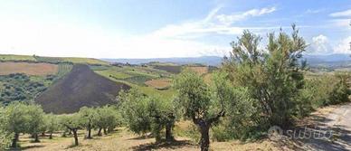 Terreno di 20778 m² a Castel Frentano