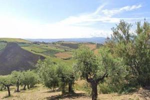 Terreno di 20778 m² a Castel Frentano