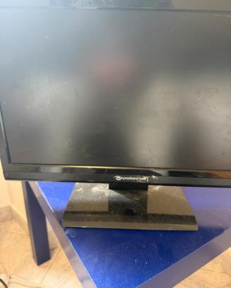 Monitor Packard Bell