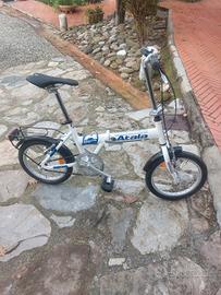 bicicletta 
