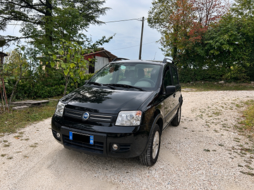 Fiat Panda 4x4  Benzina 2004