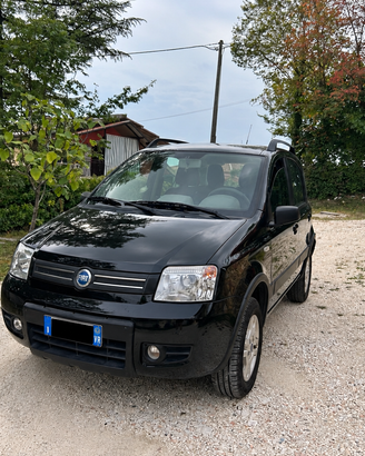 Fiat Panda 4x4  Benzina 2004