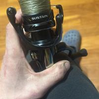 Shimano sustain