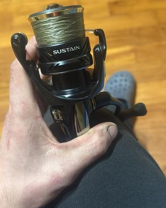 Shimano sustain