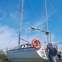 Barca Vela COMET 800