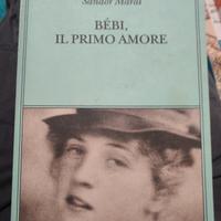 Bebi, il primo amore di Sandor Marai