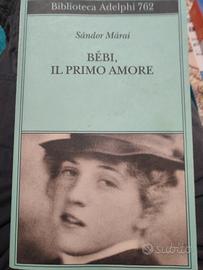Bebi, il primo amore di Sandor Marai