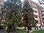 Immagine 23