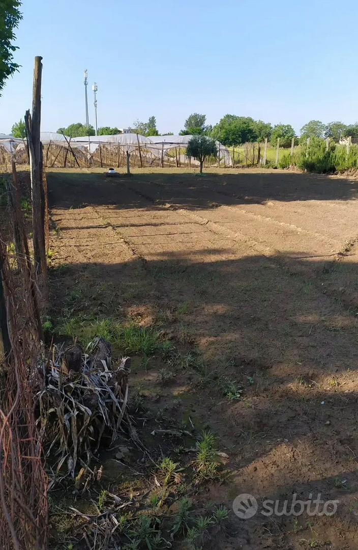 Appezzamento di terreno - Vista 6
