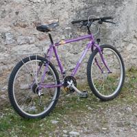 Mountain bike viola