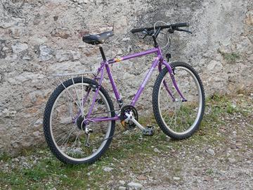 Mountain bike viola