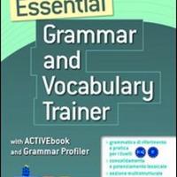 Essential grammar and vocabulary trainer" Gallaghe