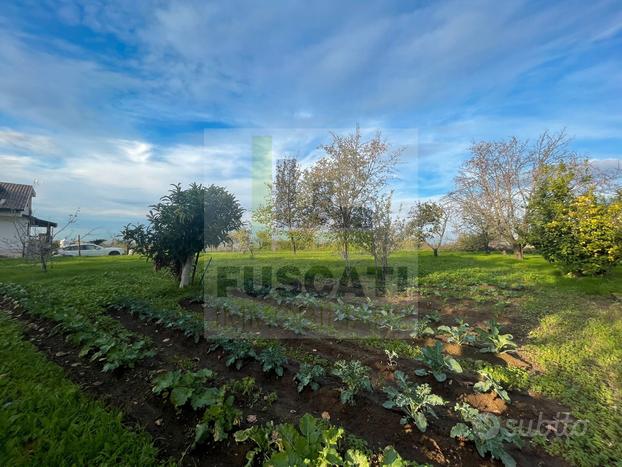 Terreno agricolo zona Tirone