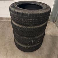 Gomme da neve R14 175/65