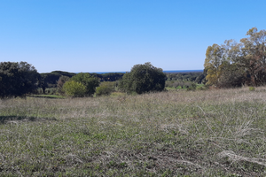 Terreno Castel Romano