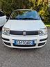 fiat-panda-1-2-neopatentati-euro-5