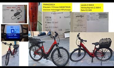 Pegasus Premio EVO 10 Lite Wave -
 E-Trekkingbike