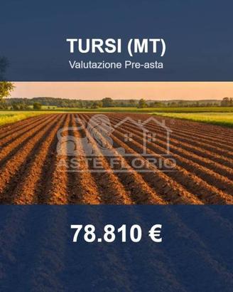 Immobile in asta di 140325 m² a Tursi